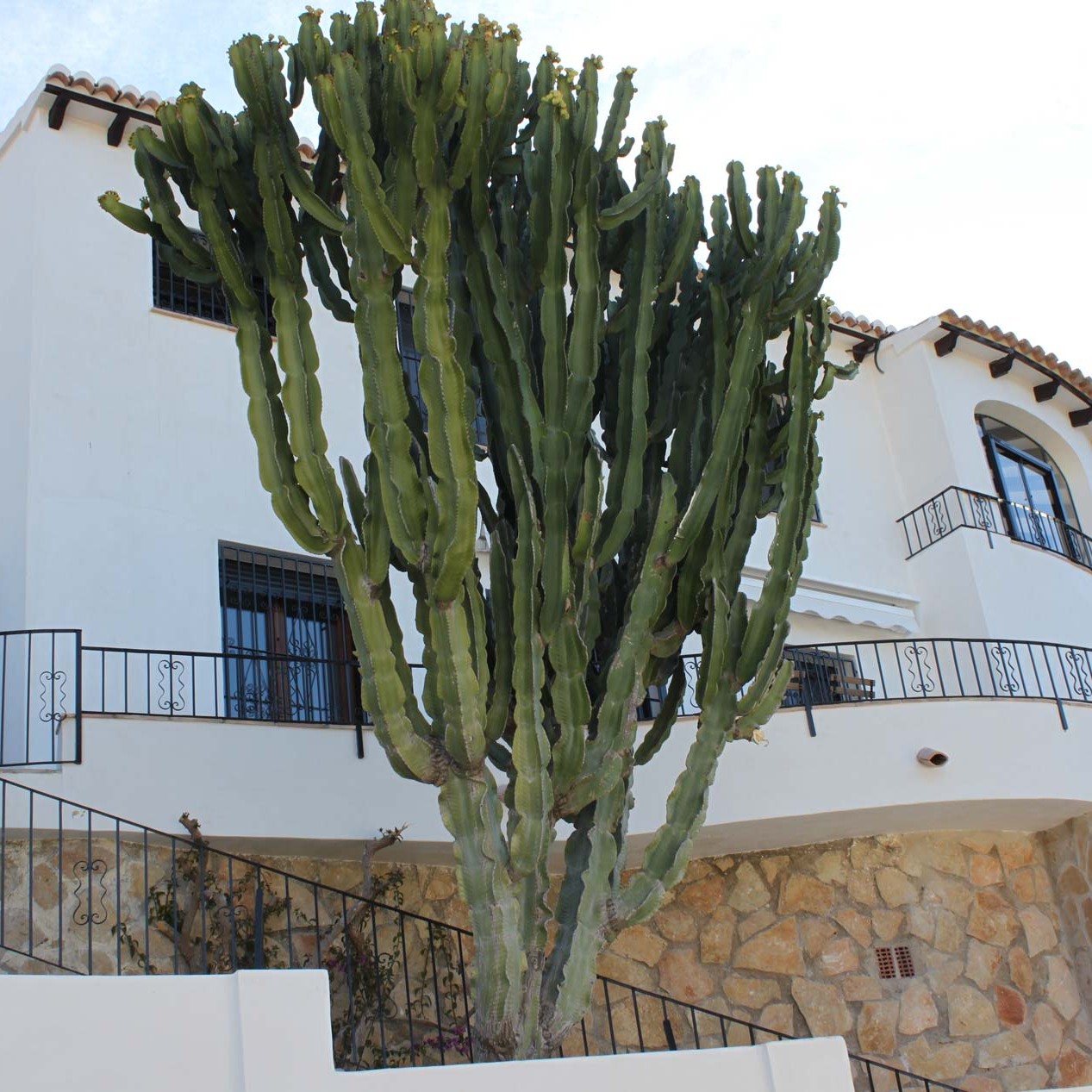 Reforma integral y decoración de un chalet en Moraira, Alicante